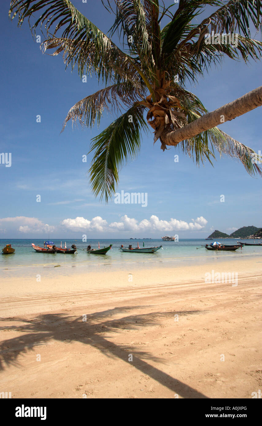 Einsamen Strand auf Koh Tao Turtle Island in Süd-Thailand Stockfoto