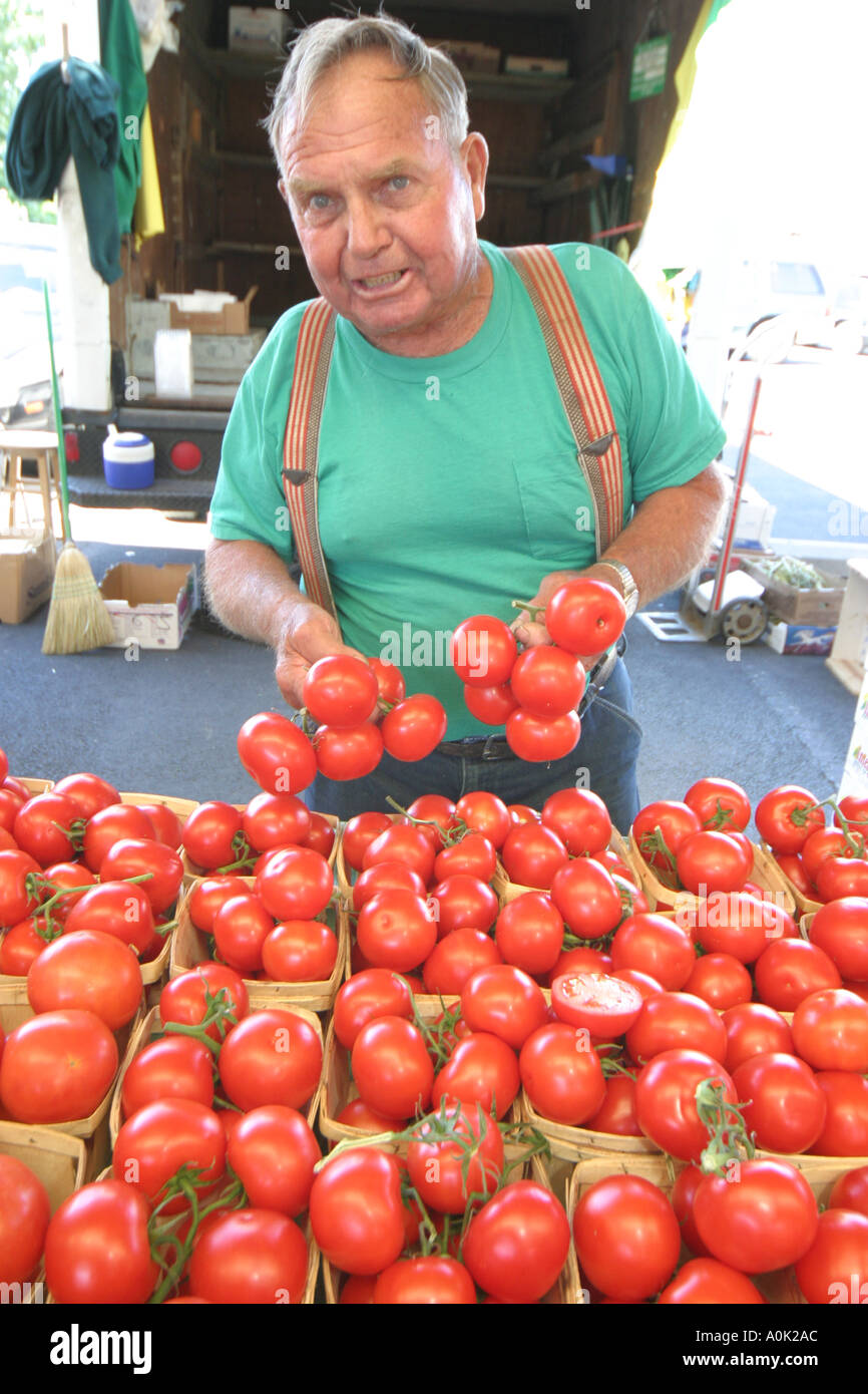 Toledo Ohio, Bauernmarkt, Obst, Gemüse, Gemüse, Lebensmittel, Stände Stand Verkäufer, Tradition, lokal angebaute Produkte, Anbau, Tomaten, Tomaten Stockfoto