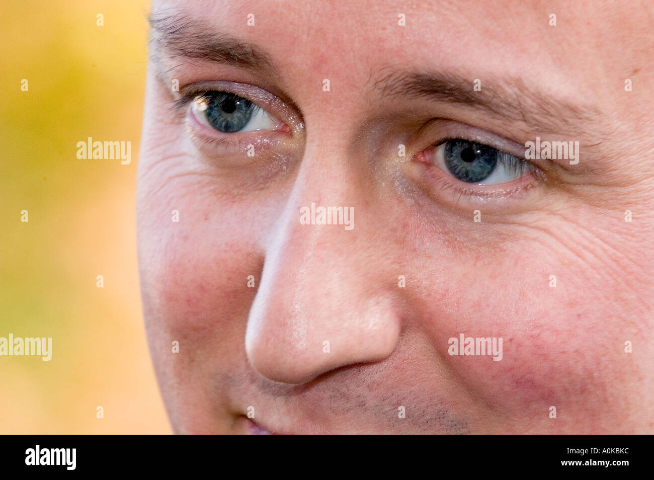 Britische konservative Parteichef David Cameron MP Stockfoto