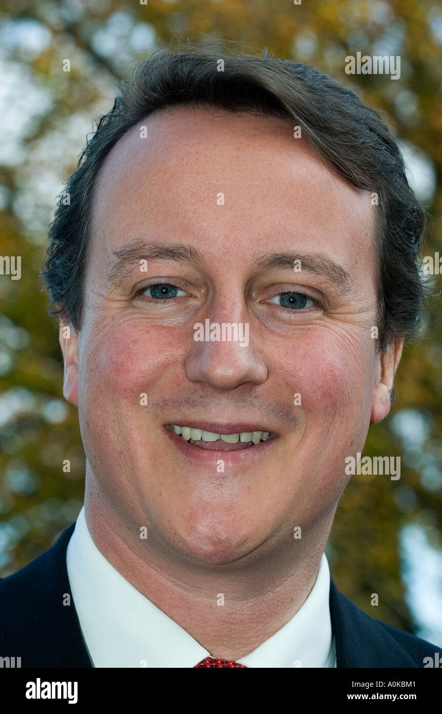 Britische konservative Partei Führer Rt Hon David Cameron MP, Parlamentsmitglied für Witney Stockfoto