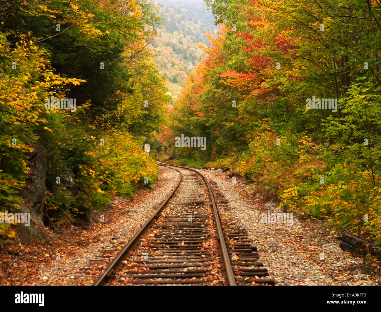 Herbstfarben entlang einem Eisenbahn Weg Stockfoto