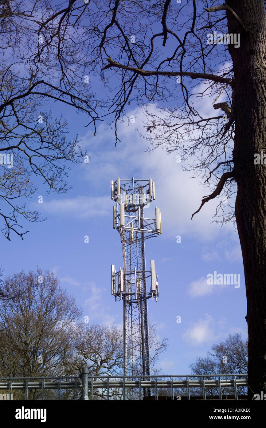 Telefon-mast Stockfoto