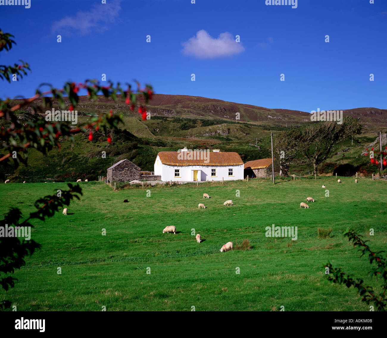 Reetdachhaus. Co. Donegal, Glencolmcille, Irland Stockfoto