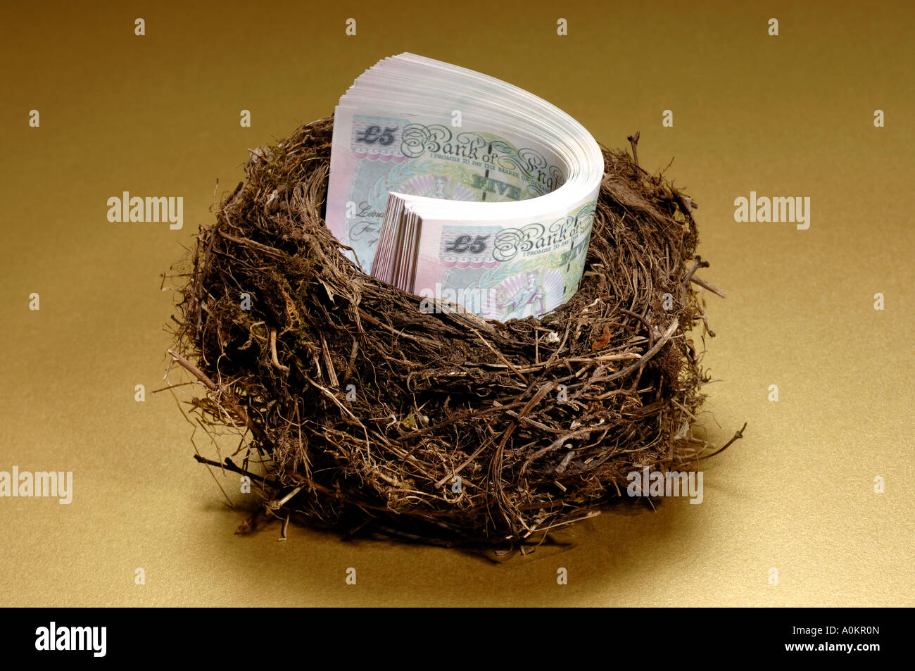 Bündel von 5 Pfund Sterling Geld in ein Vogelnest Stockfoto