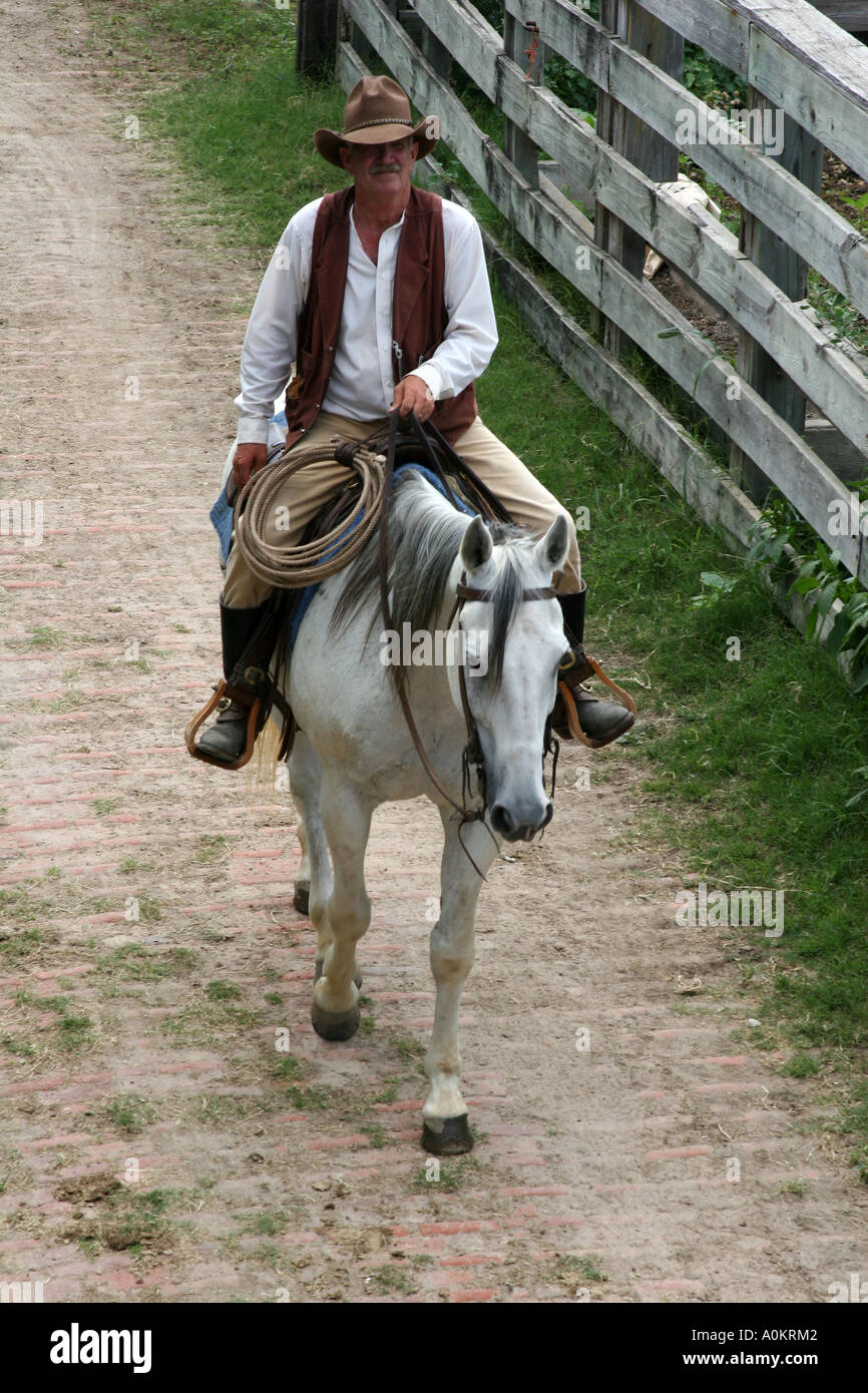 Cowboy auf einem Pferd Stockfoto