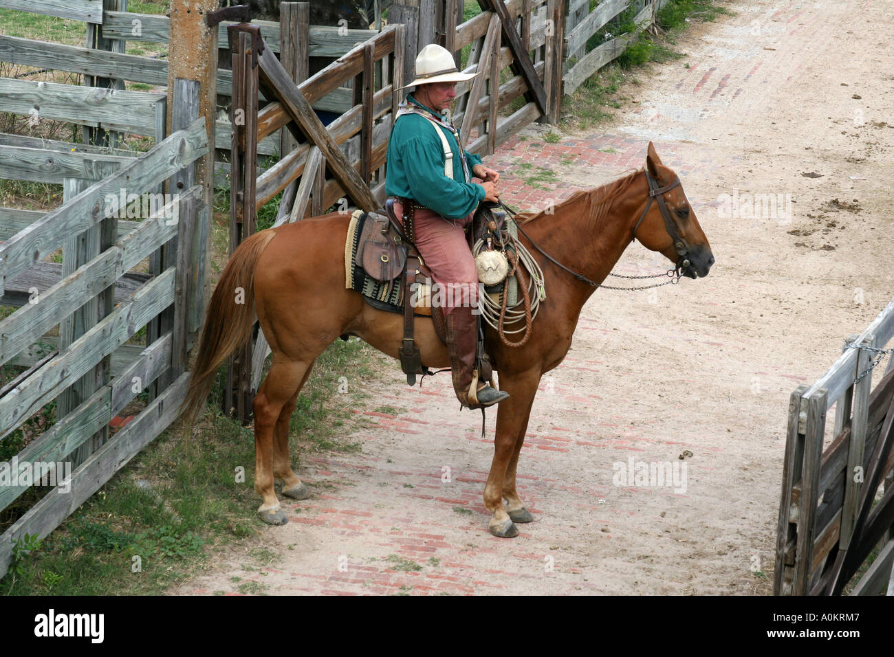 Cowboy auf einem Pferd in einem Gehege Stockfoto