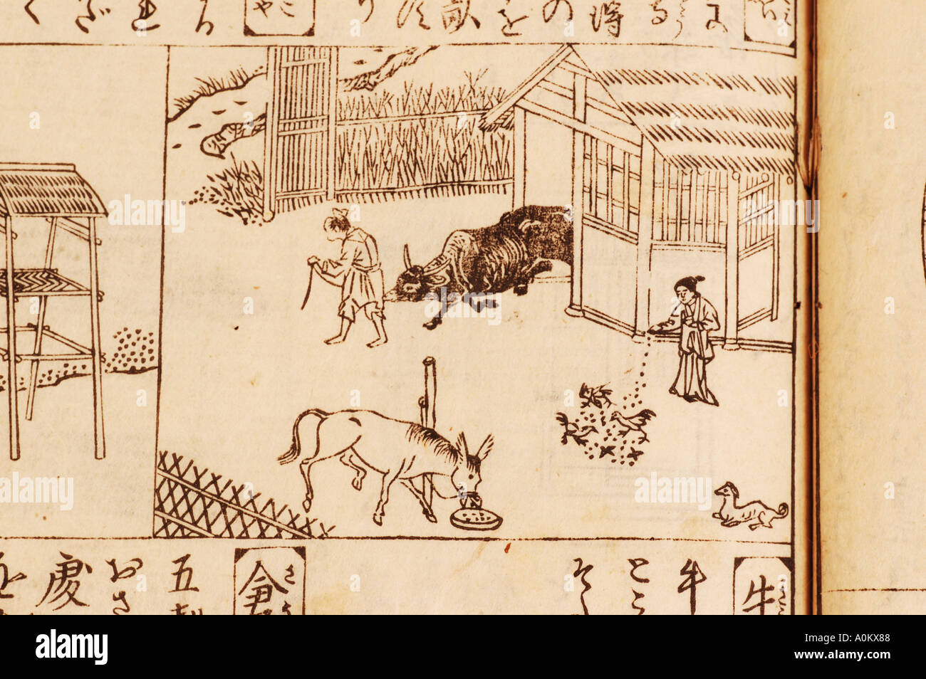 Japanischen Text Buch Illustration Bauernhof Szene Stockfoto