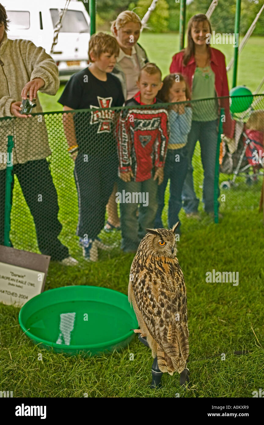 Ein Uhu und Zuschauer bei einer Landwirtschaftsausstellung Stockfoto