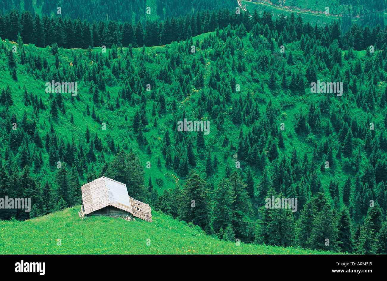 Schwarzen Meer Hochland Rize Türkei Stockfoto