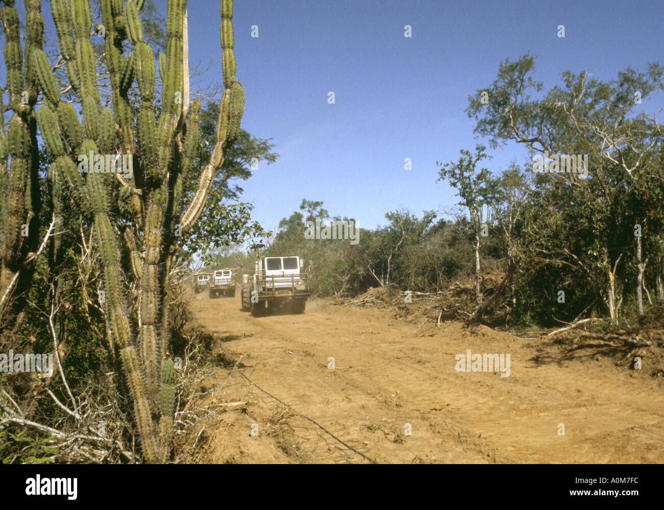 Seismische Fahrzeuge fahren in der Chaco-Region von Bolivien auf Öl-Exploration arbeiten photo1972 Stockfoto