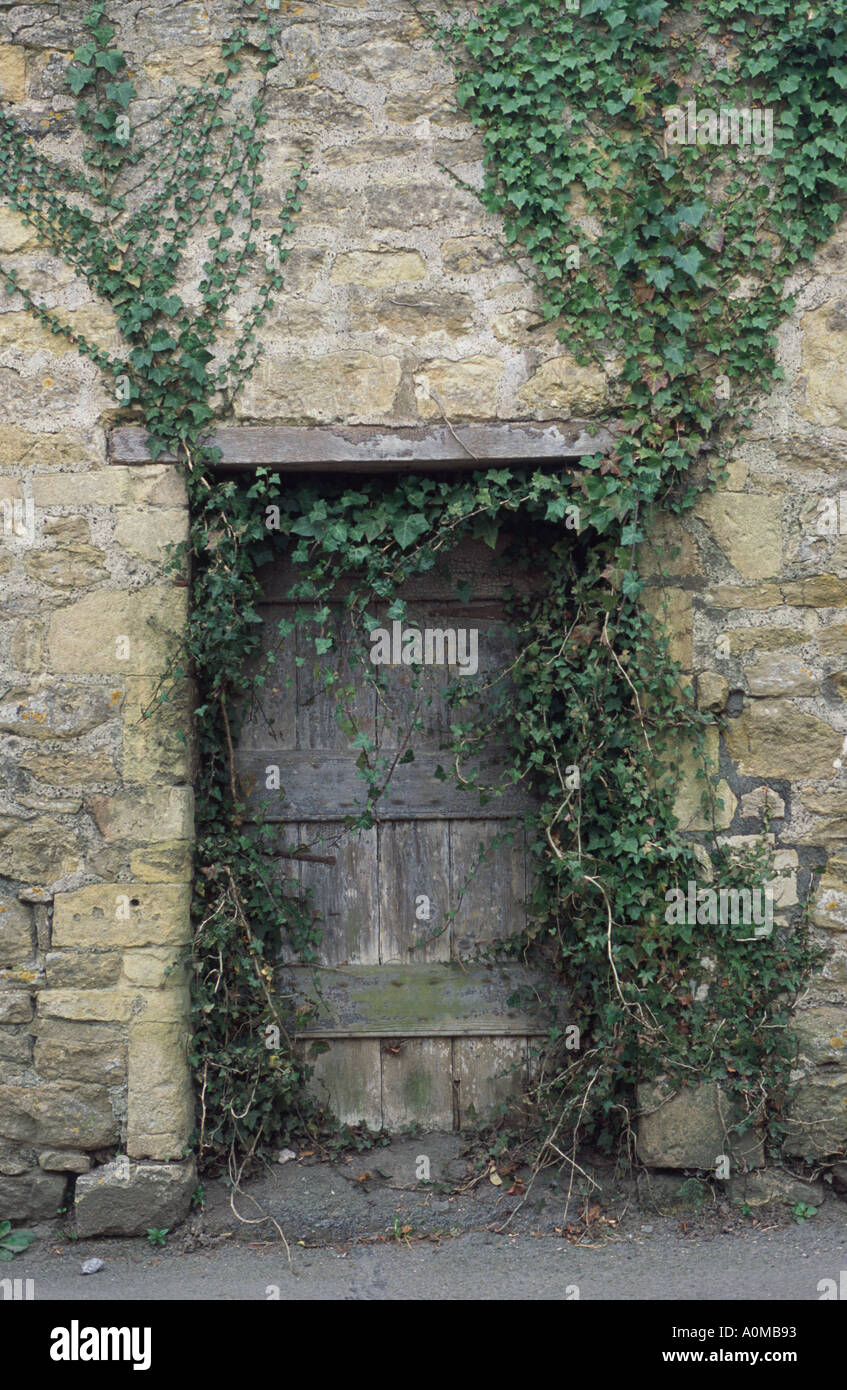 Hölzerne Garten Tür verborgen in einer Mauer Bath Spa Somerset England UK Stockfoto