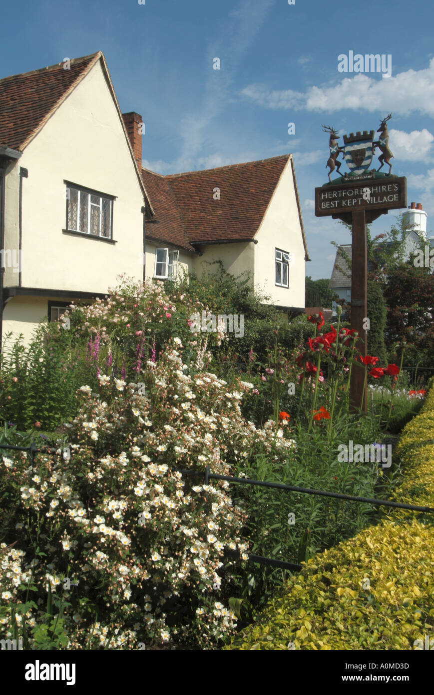 Sommer blauen Himmel sonnigen Tag in viel Hadham Blick auf Englische Front Cottage Garten Blumen Pflanzen & Zeichen für das Beste Behütete Dorf in Hertfordshire England Großbritannien Stockfoto