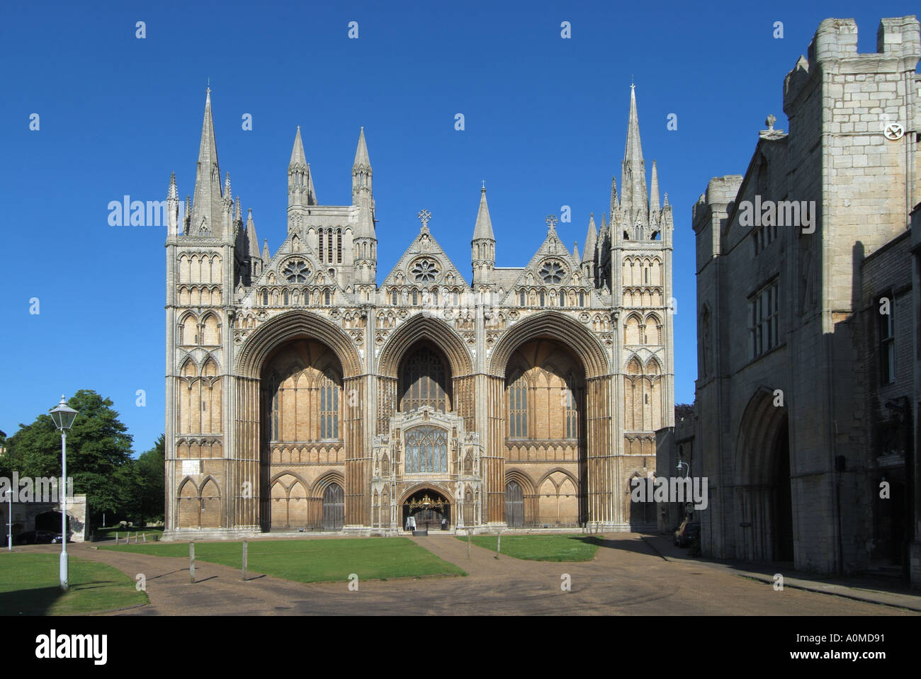 Peterborough Kathedrale und Innenhof im Zentrum der Stadt Cambridgeshire England Großbritannien Stockfoto
