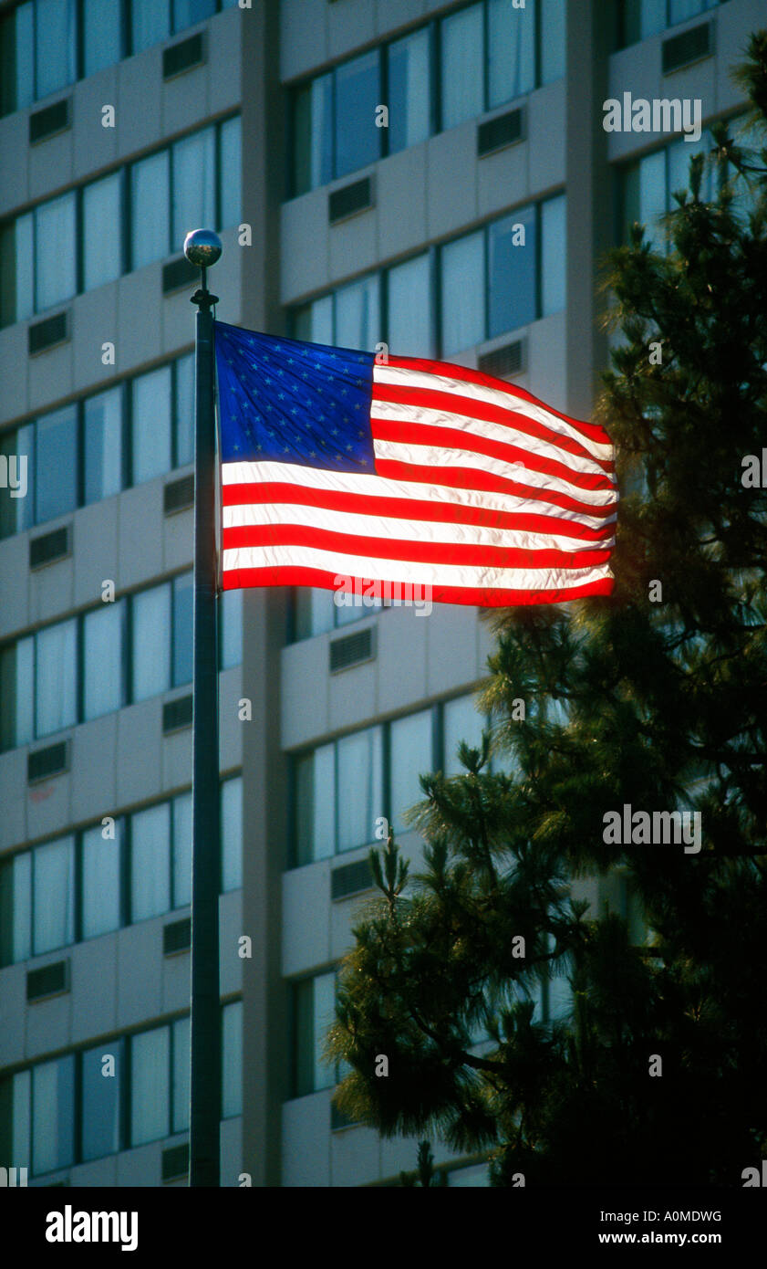 Amerikanische Flagge, USA Stockfoto