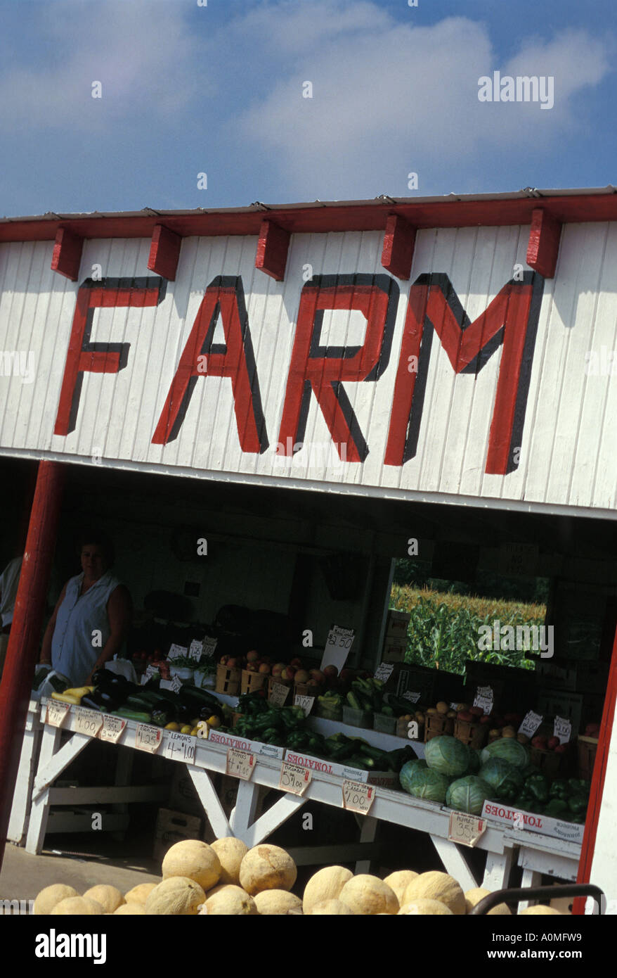 frisches Gemüse am Straßenrand Bauernhof zum Verkauf Lancaster County PA Pennsylvania Stockfoto