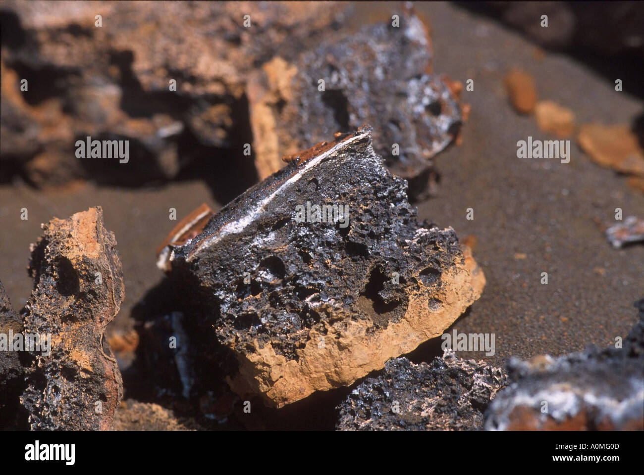 Amerika Süd Galapagos Cross Abschnitt von Schlacke oder Schlacken mit Gasblasen, die in dem geschmolzenes Magma Gal gebildet Stockfoto