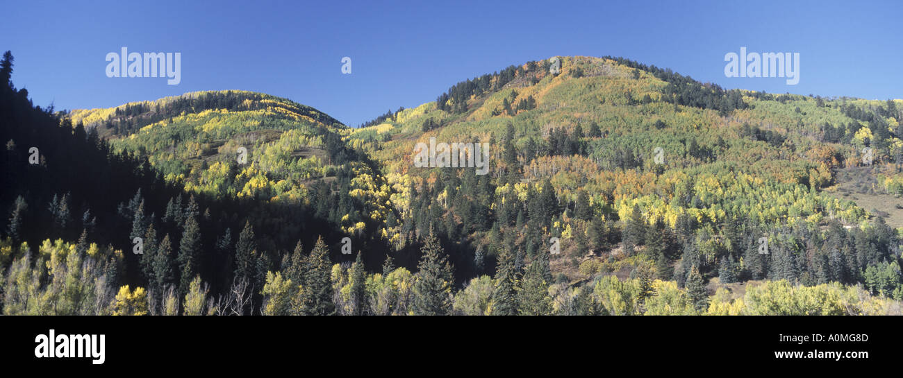 Laubbäume Nadelbäume Panorama USA Fallcolor Herbst Colorado Rocky Mountains Stockfoto