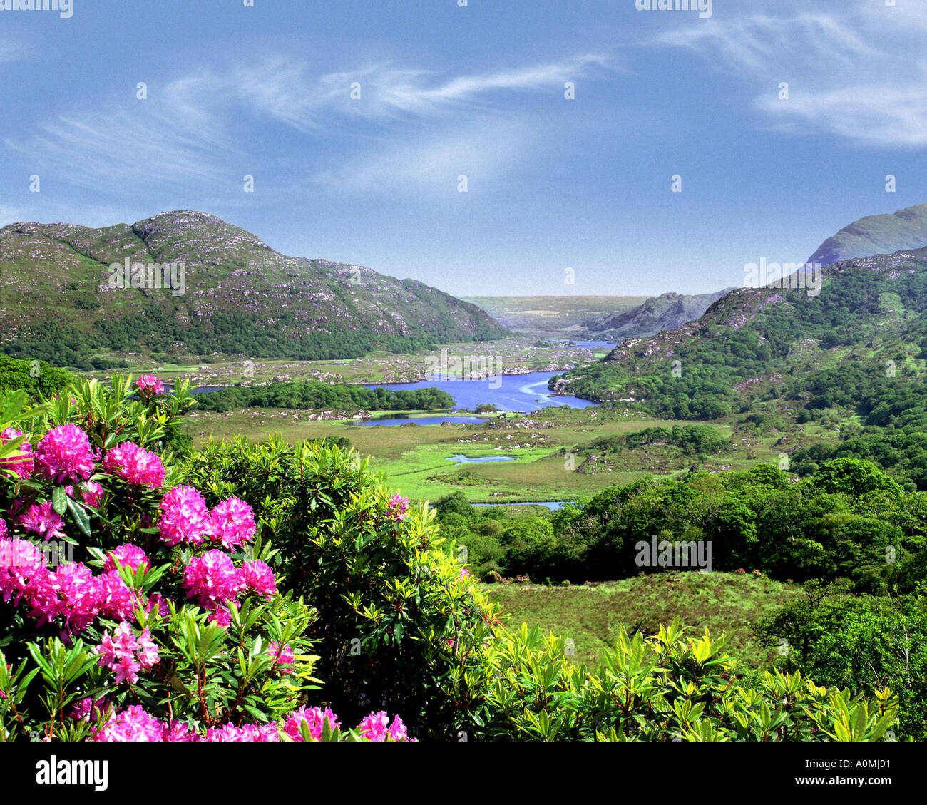 IE - CO KERRY: Ladies View in der Nähe von Killarney Stockfoto