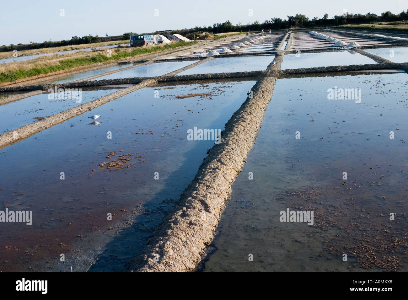 Kochsalzlösung in das Naturschutzgebiet des Muellenburg in Noirmoutier, Loire-Atlantique, Frankreich Stockfoto