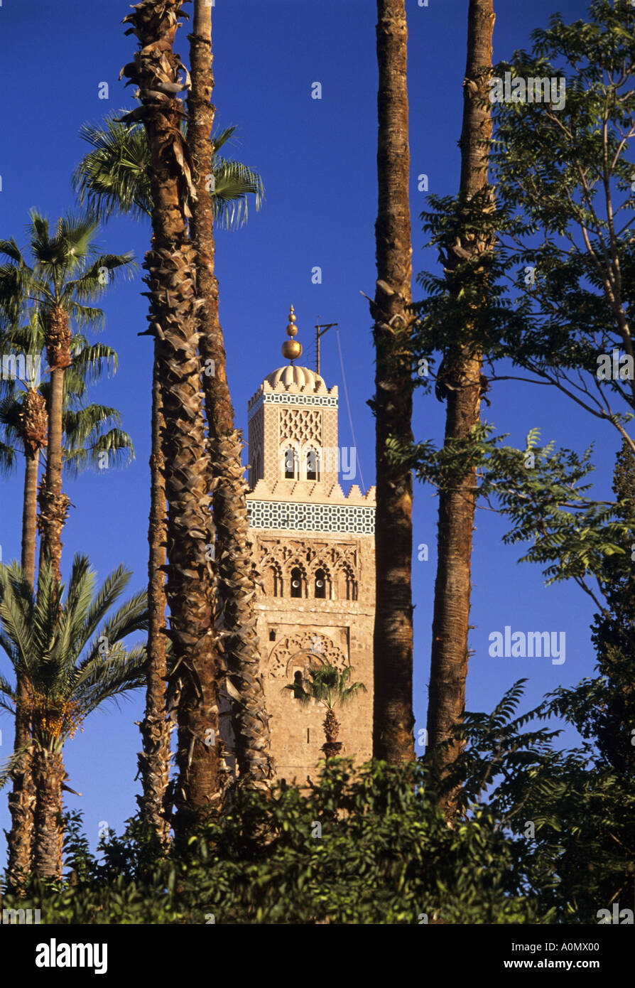 Koutoubia Moschee Marrakesch Marokko Stockfoto