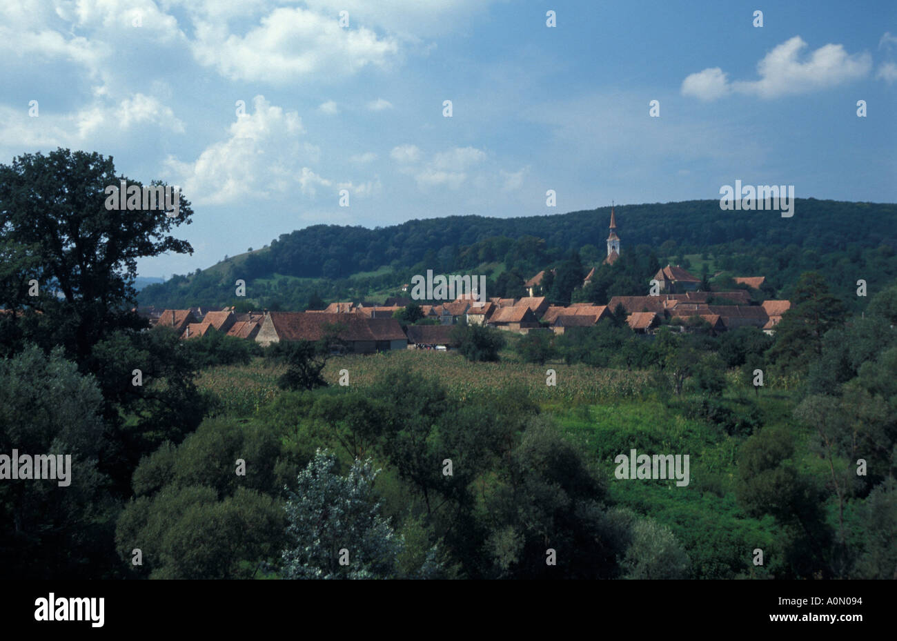 Typisch sächsische Dorf Stockfoto