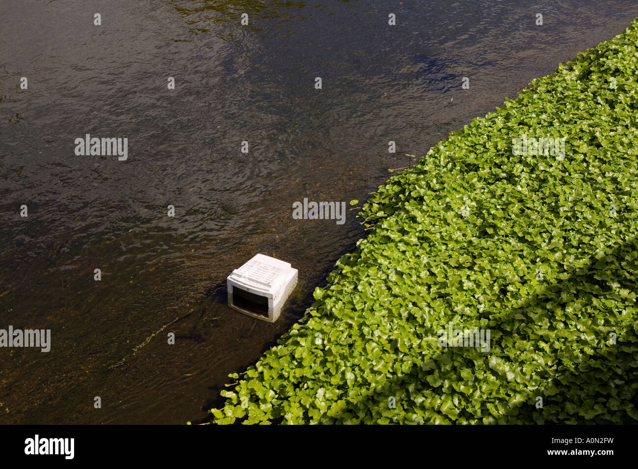 Computer-Monitor gedumpten in den Fluss Wandle, Earlsfield, London, Großbritannien Stockfoto