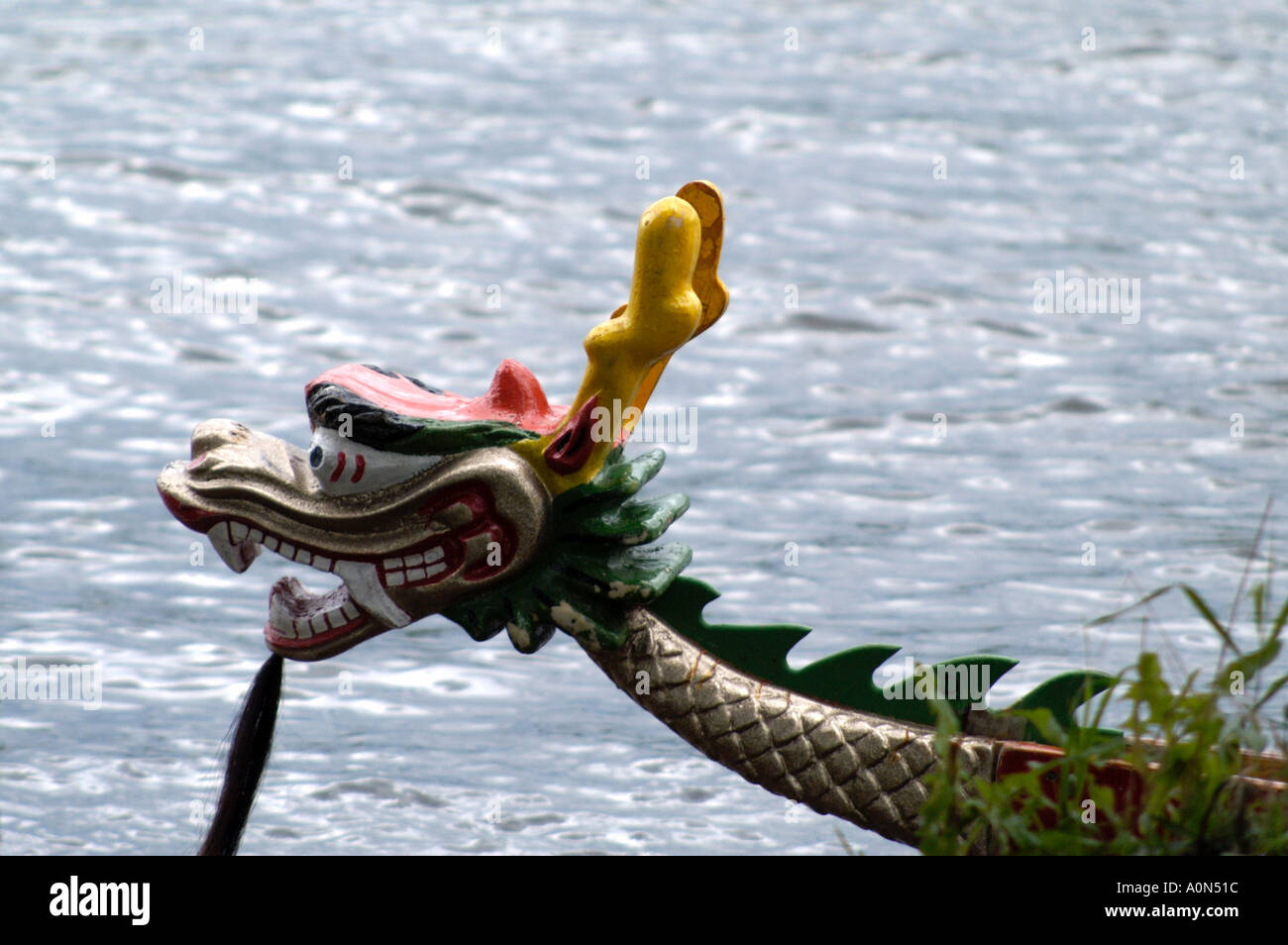 Vorderseite des Drachenboot beim jährlichen Rennen auf dem Rideau River in Ottawa Stockfoto