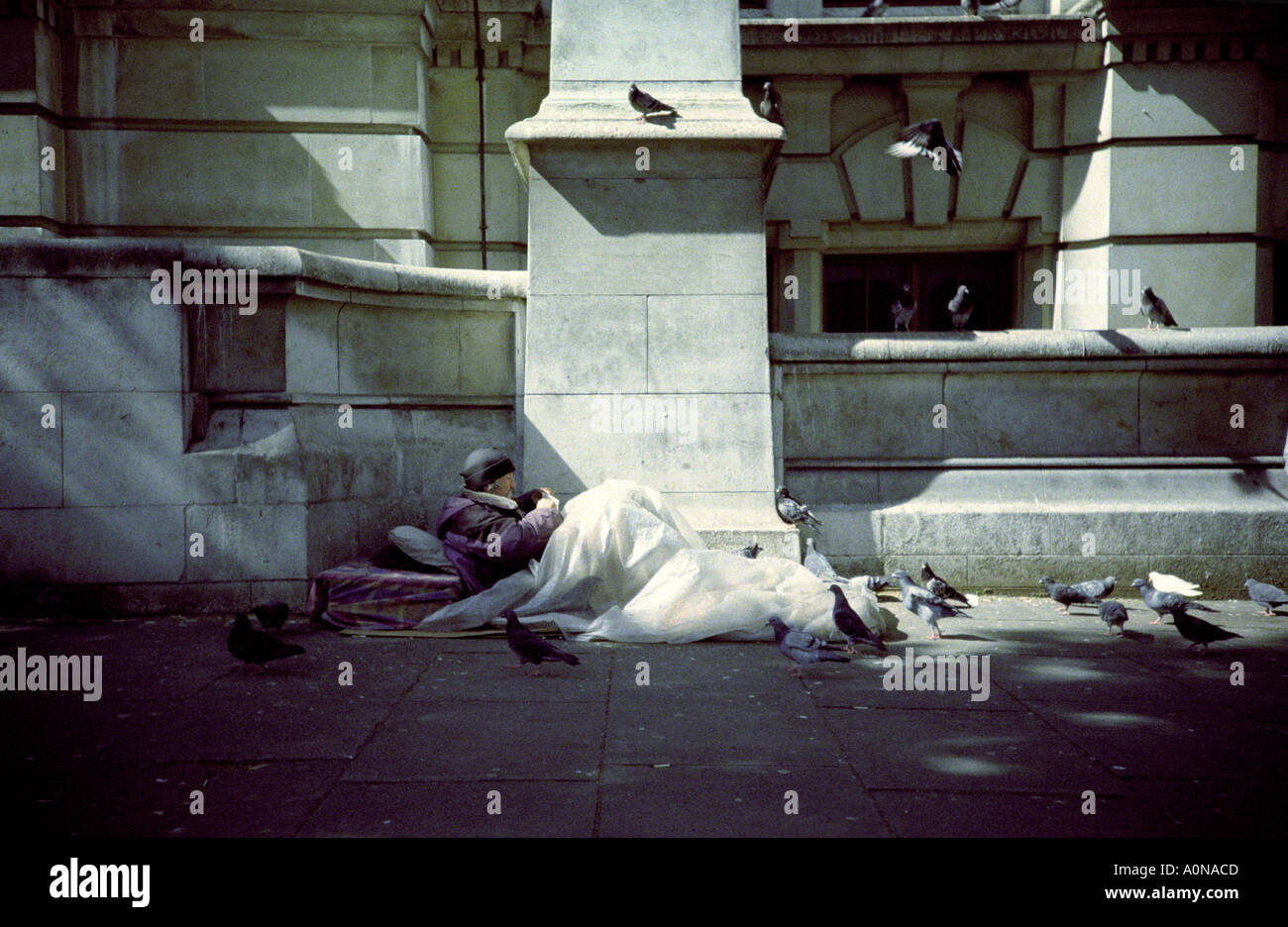 Obdachloser mit Tauben schlafen in London Stockfoto