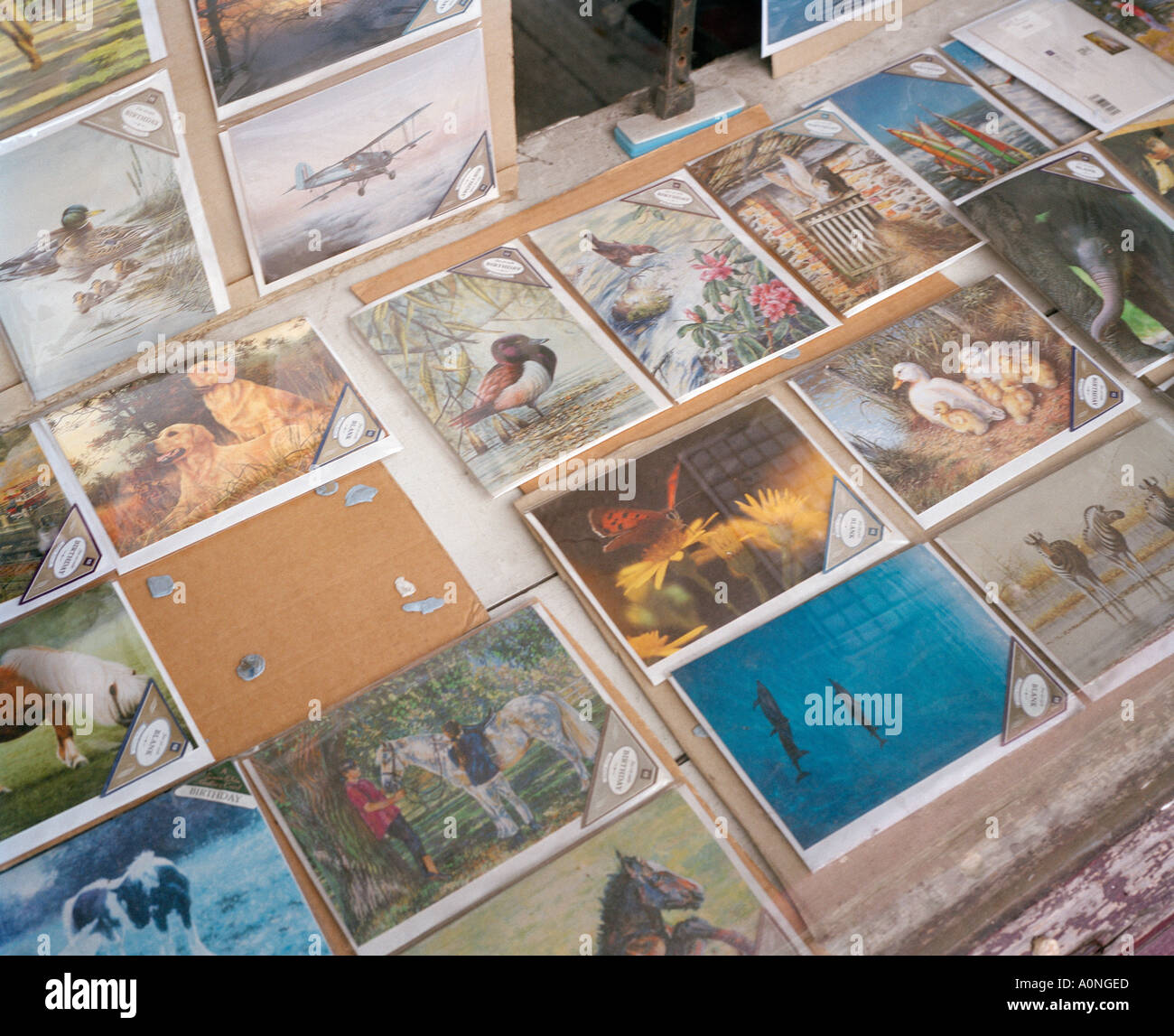 Verblasst Geschenkkarten im Schaufenster Stockfoto Verblasst Geschenkkarten im Schaufenster Stockfoto
