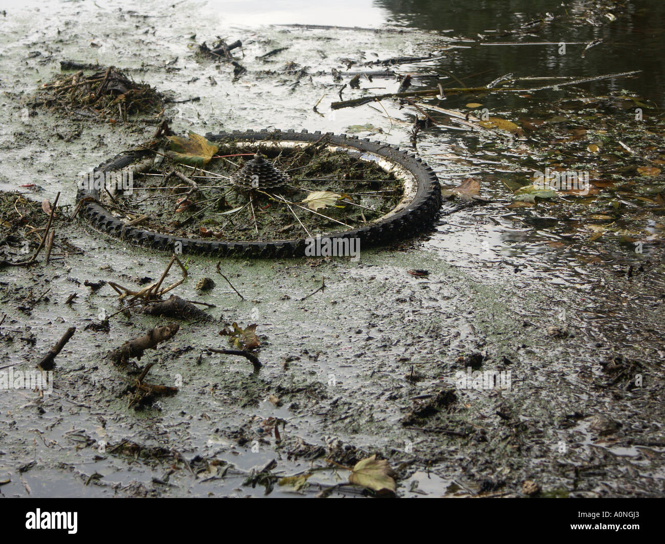Altes Fahrrad-Rad in einen Fluss, wo es eine Gefahr für die Tierwelt wird, geworfen. Stockfoto