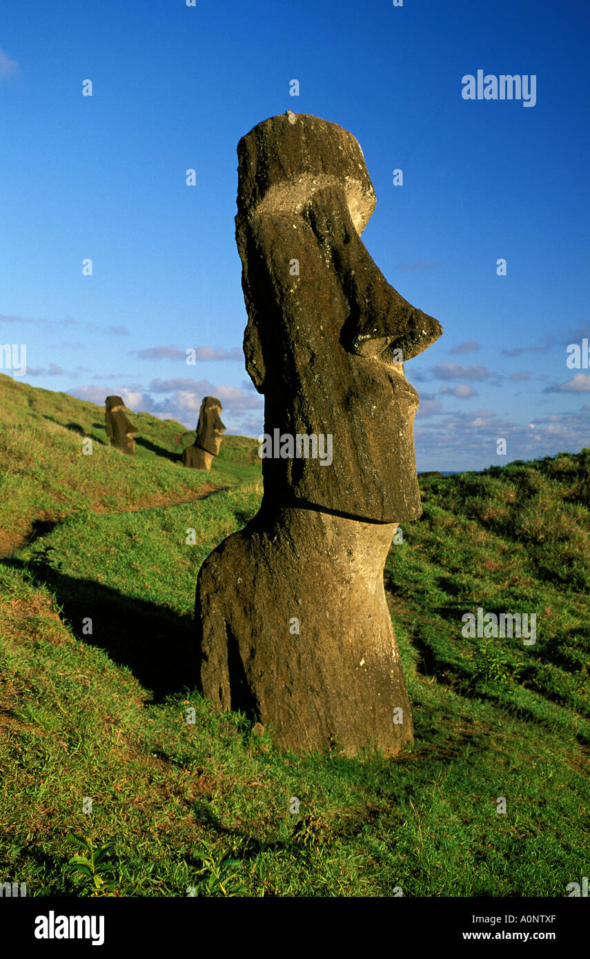 Rapa Nui-Statuen am Rano raraku Stockfoto