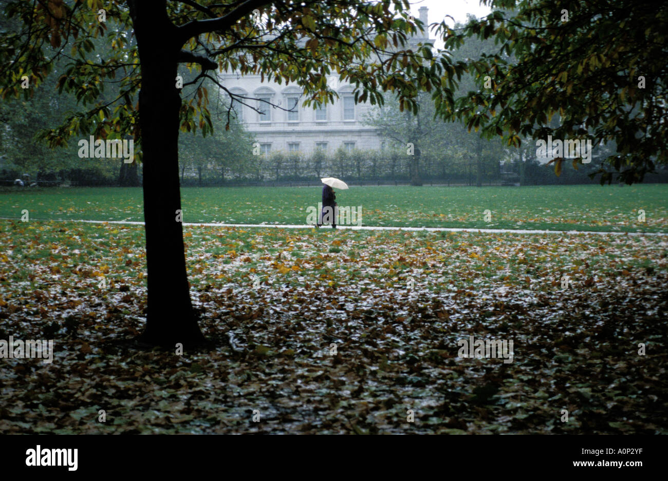 London regnerischen Spaziergang durch den Hyde Park Stockfoto