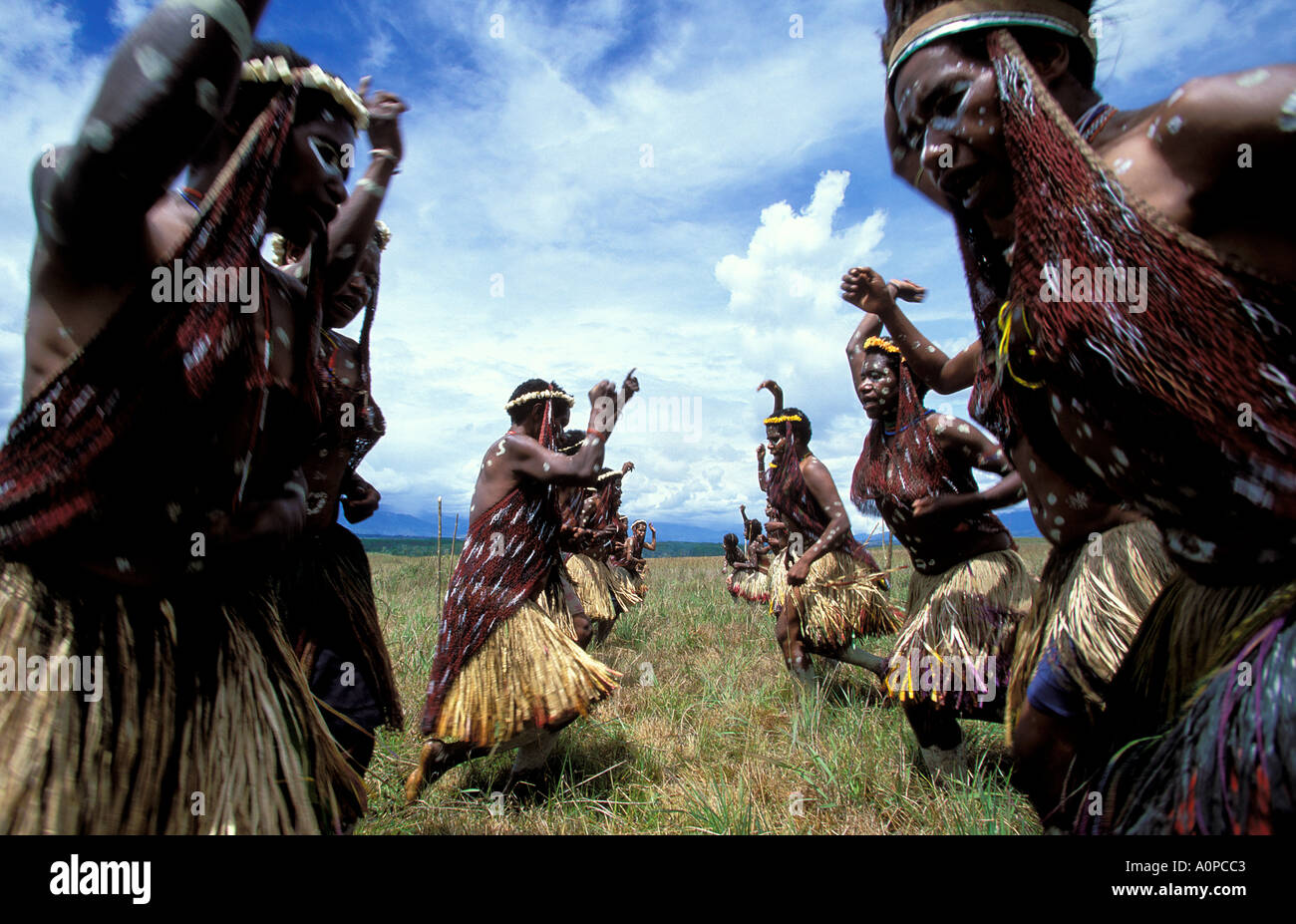 Indonesien Irian Jaya Baliem Tal viele Tänze sind Assocciated mit Sieg und Trauer Stockfoto