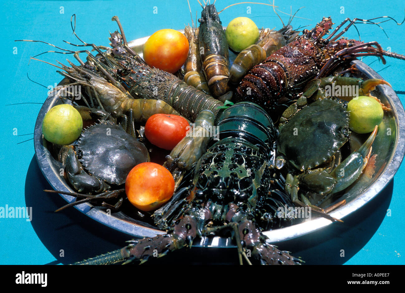 Teller mit Meeresfrüchten Sri Lanka Stockfoto