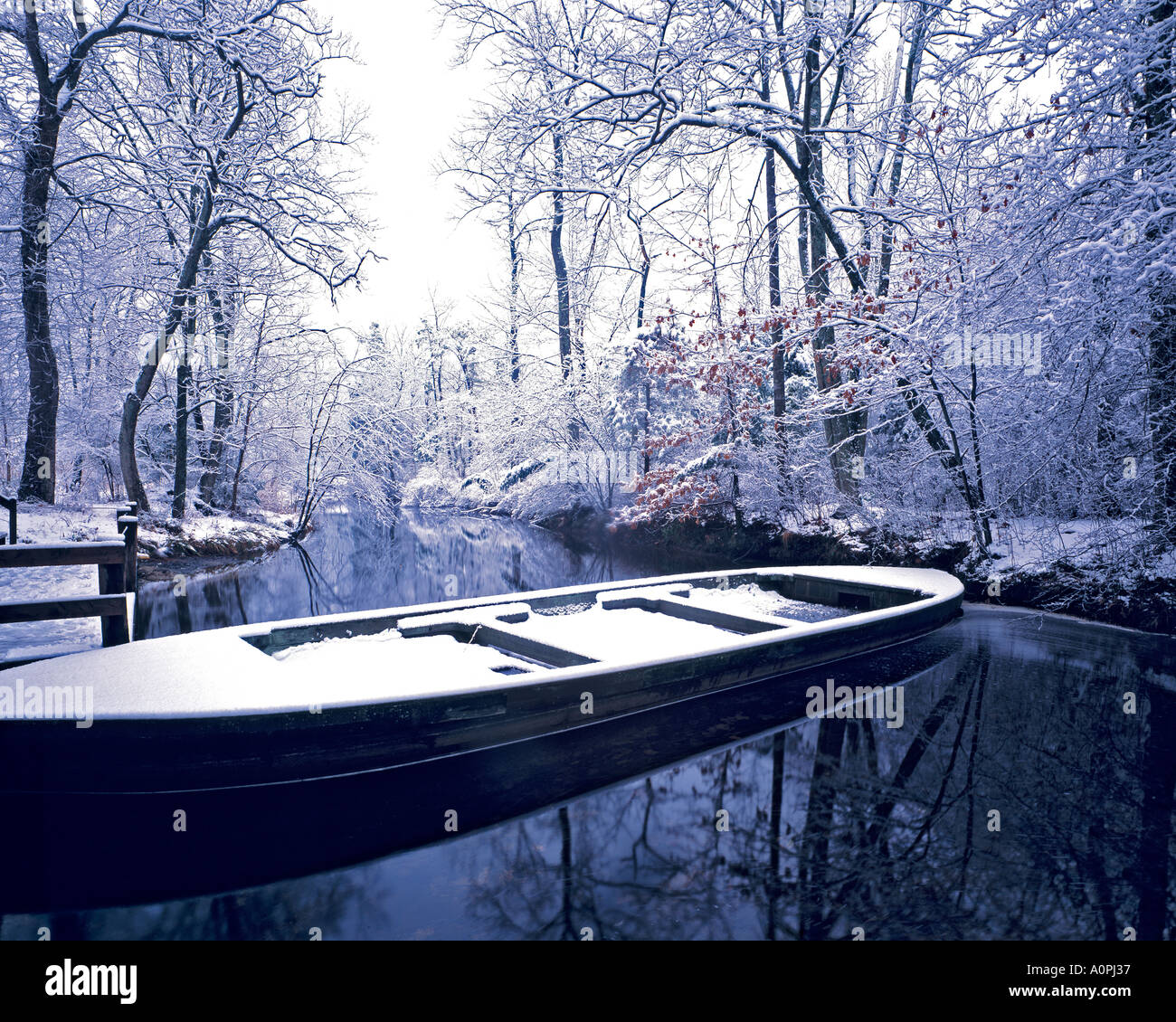 Historischen Boot im Schnee Wharton Staatswald Pine Barrens New Jersey Stockfoto