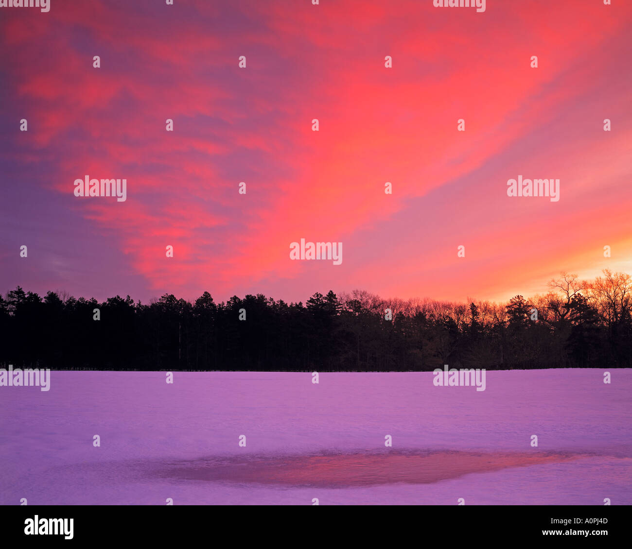 Snowy Sunrise Wharton Staatswald Pinelands National Preserve Pine Barrens New Jersey Stockfoto
