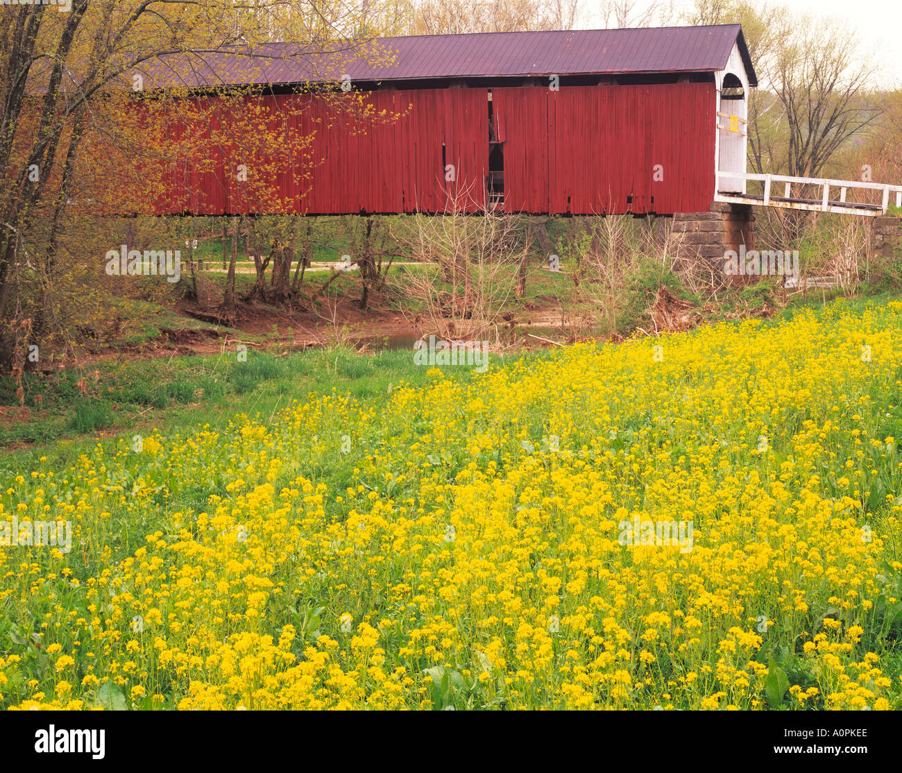 Hune bedeckt Brücke Wayne National Forest Ohio Stockfoto