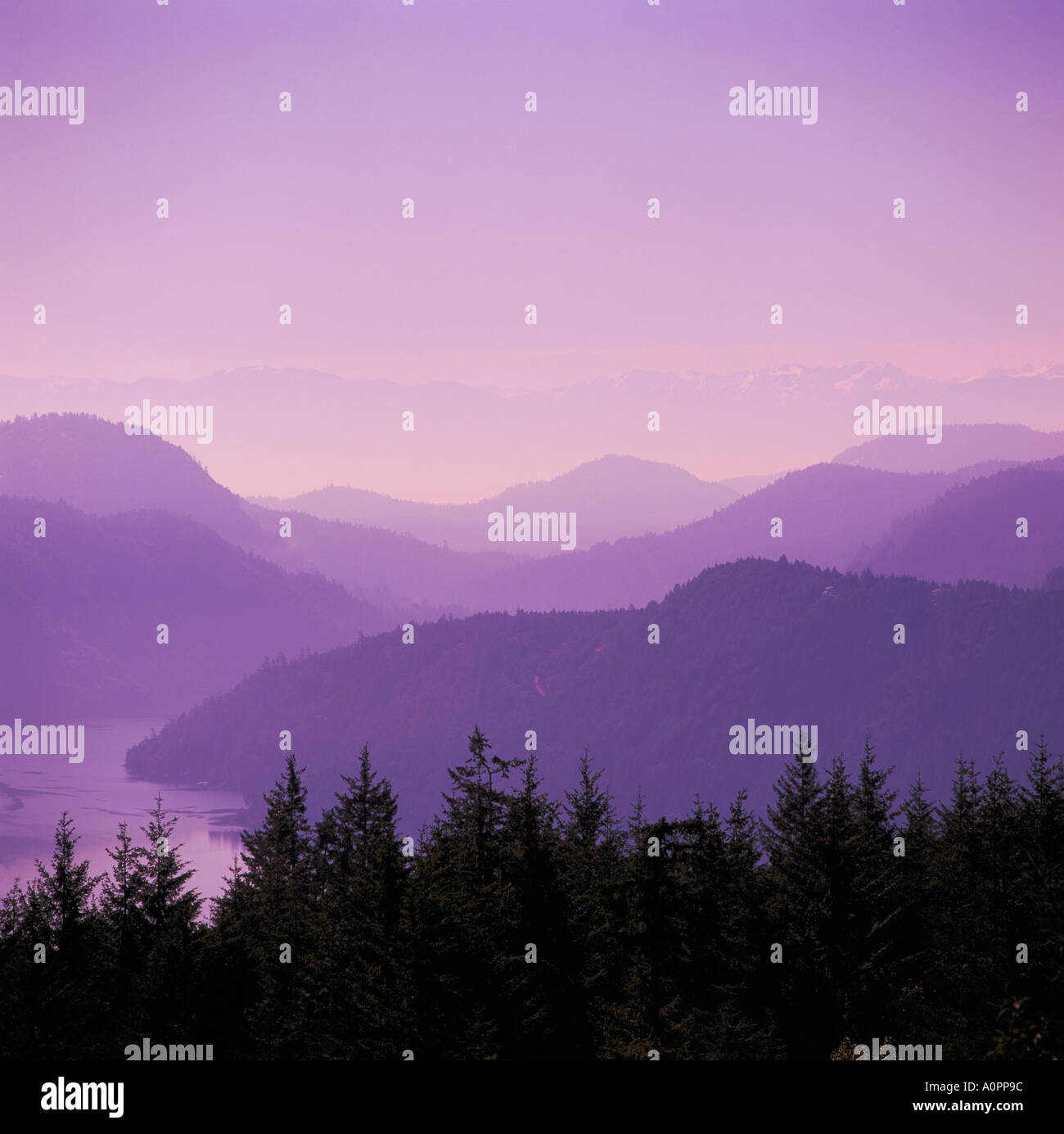 Malerische Aussicht von Malahat Laufwerk Gipfel, Vancouver Island, BC, Britisch-Kolumbien, Kanada - Silhouette Schichten der Berglandschaft Stockfoto