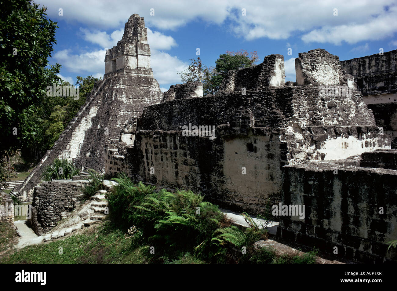 Tempel ich Tikal zum UNESCO-Weltkulturerbe Petén, Guatemala-Mittelamerika Stockfoto