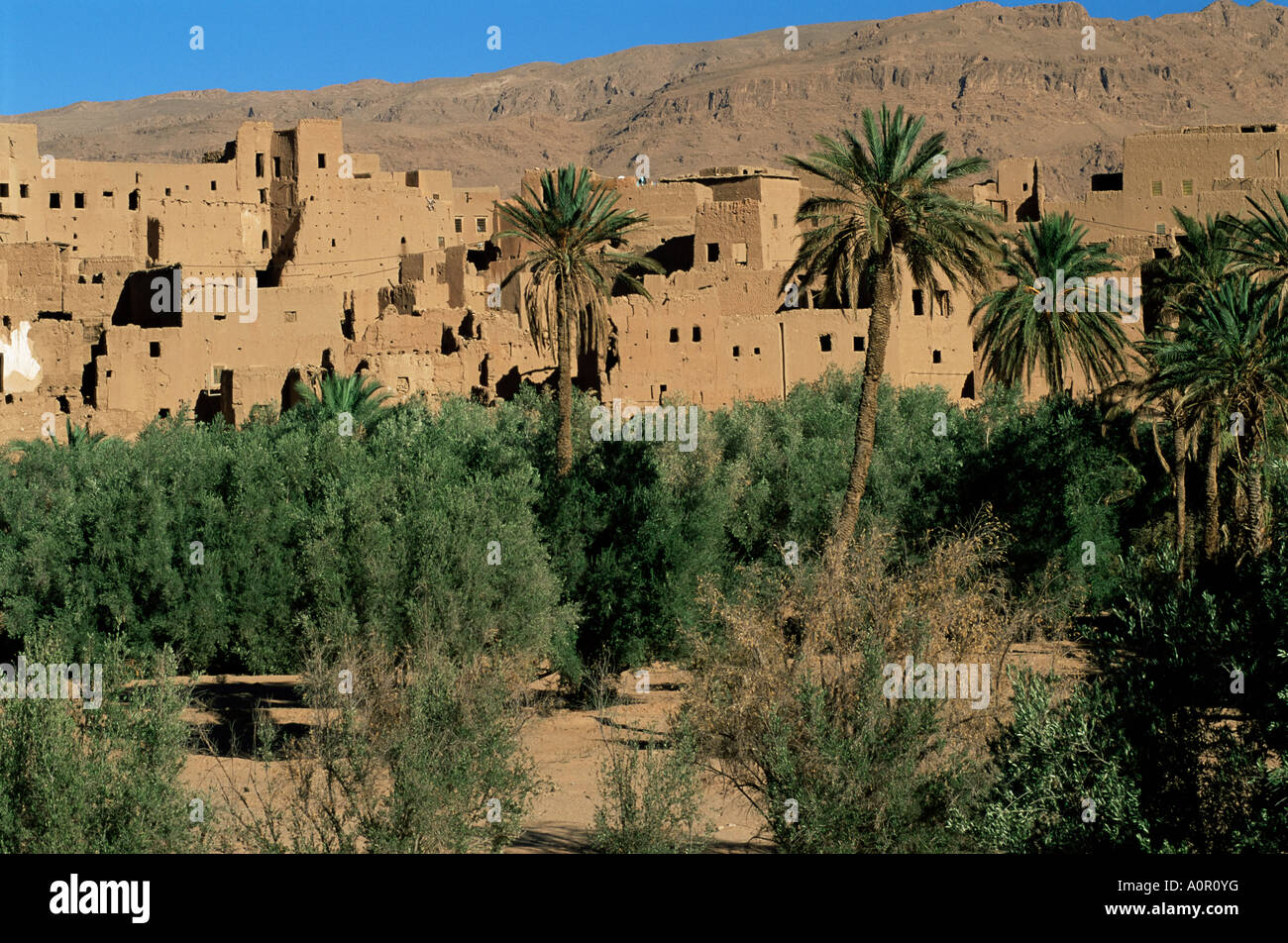 Zerstörten Kasbah Tinghir Marokko Nordafrika Afrika Stockfoto