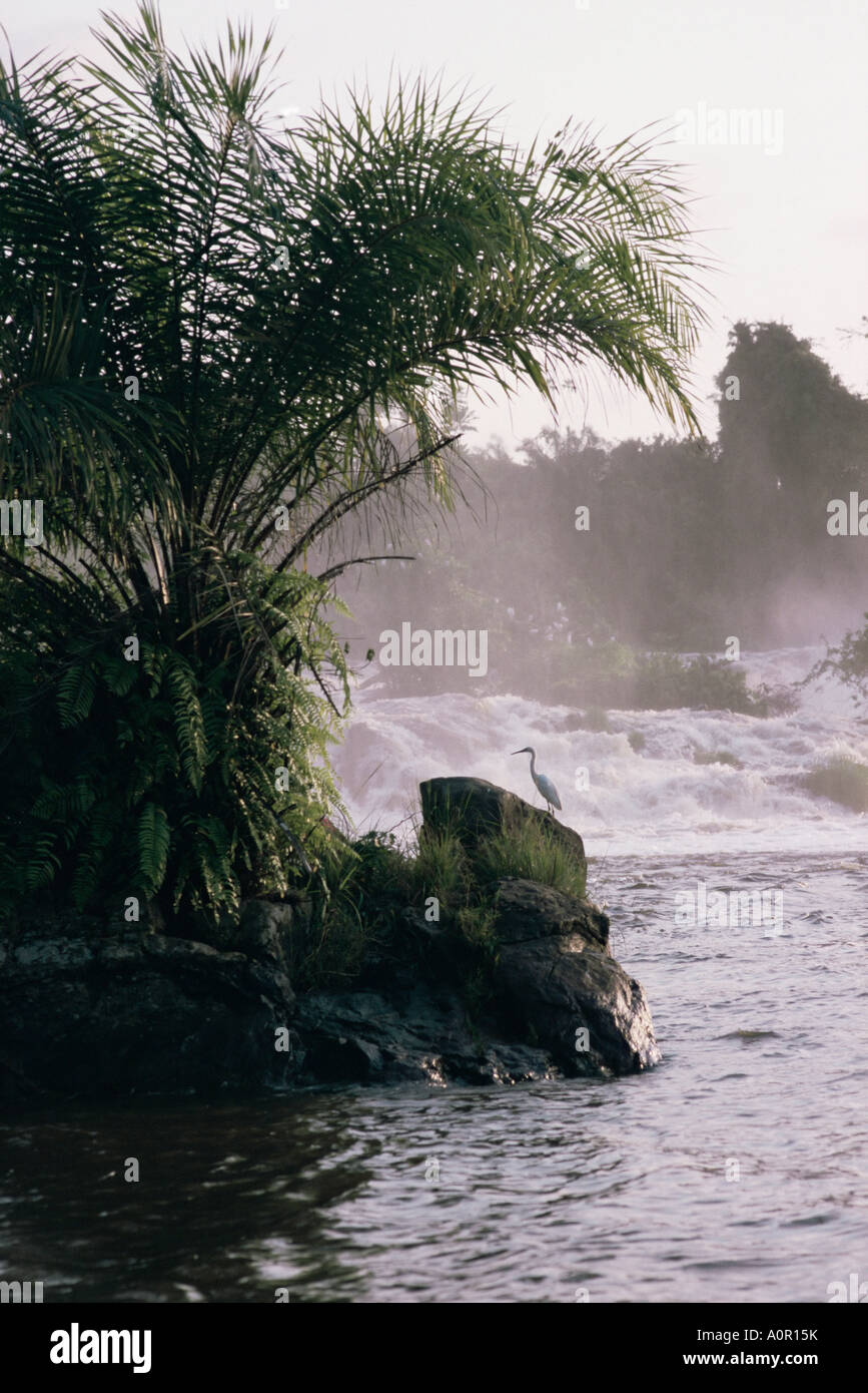 De La Lobe Kribi Westküste Kamerun Afrika Rutschen Stockfoto