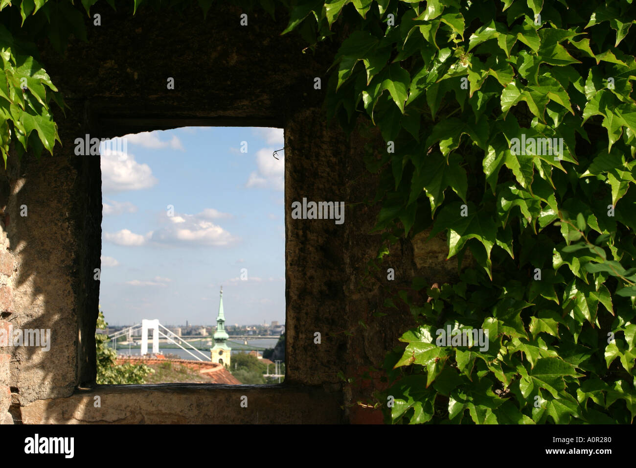 Ivy verkleideten Wand des königlichen Palastes und Blick auf Budapest in Ungarn Stockfoto