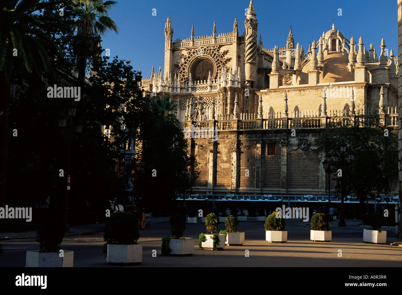 Kathedrale von Sevilla südlichen Aspekt aus der Zeit zwischen 1402 und 1506 Sevilla Andalusien Spanien Europa Stockfoto