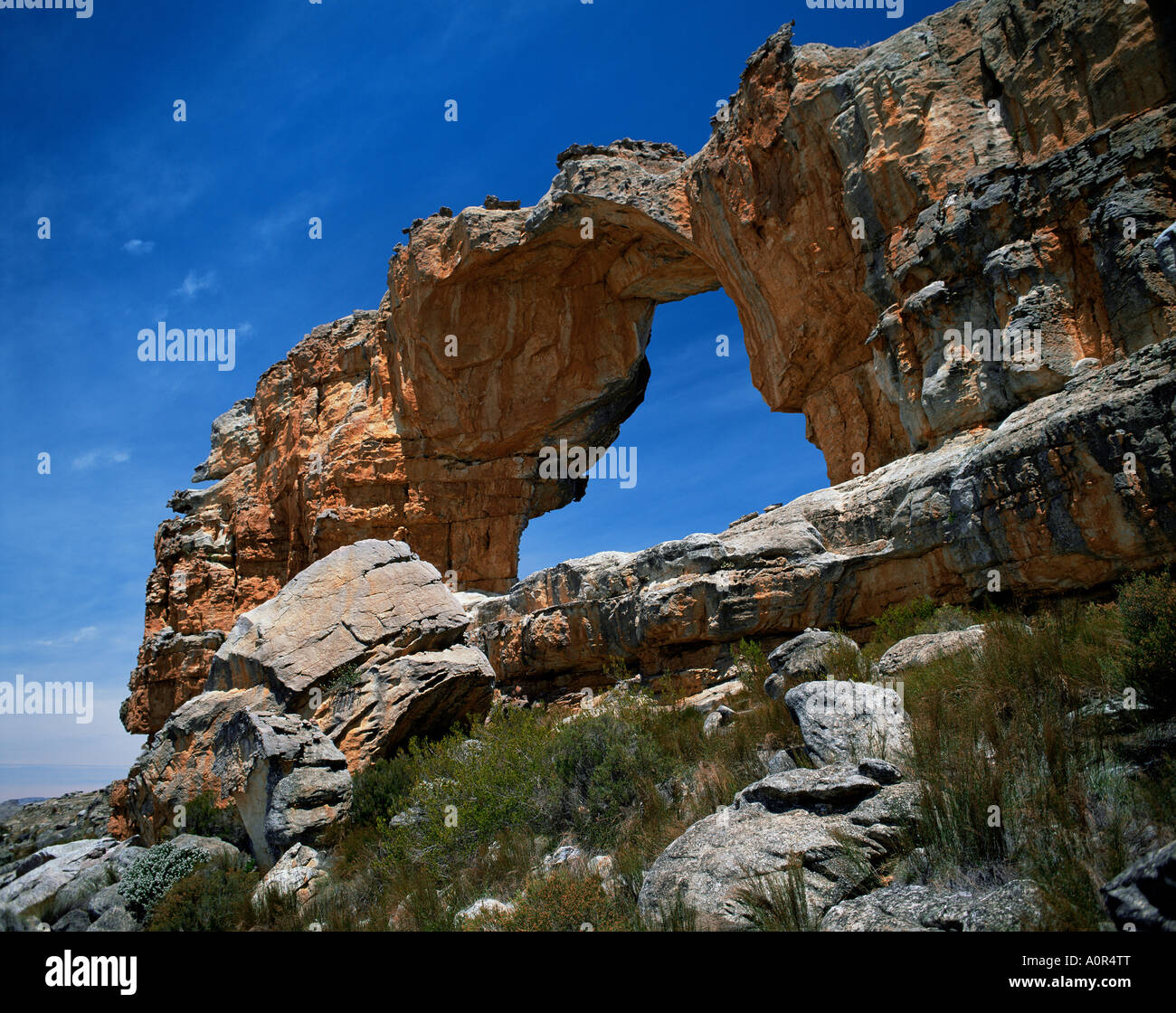 Cederberg Western Cape Provinz Südafrika Afrika Stockfoto