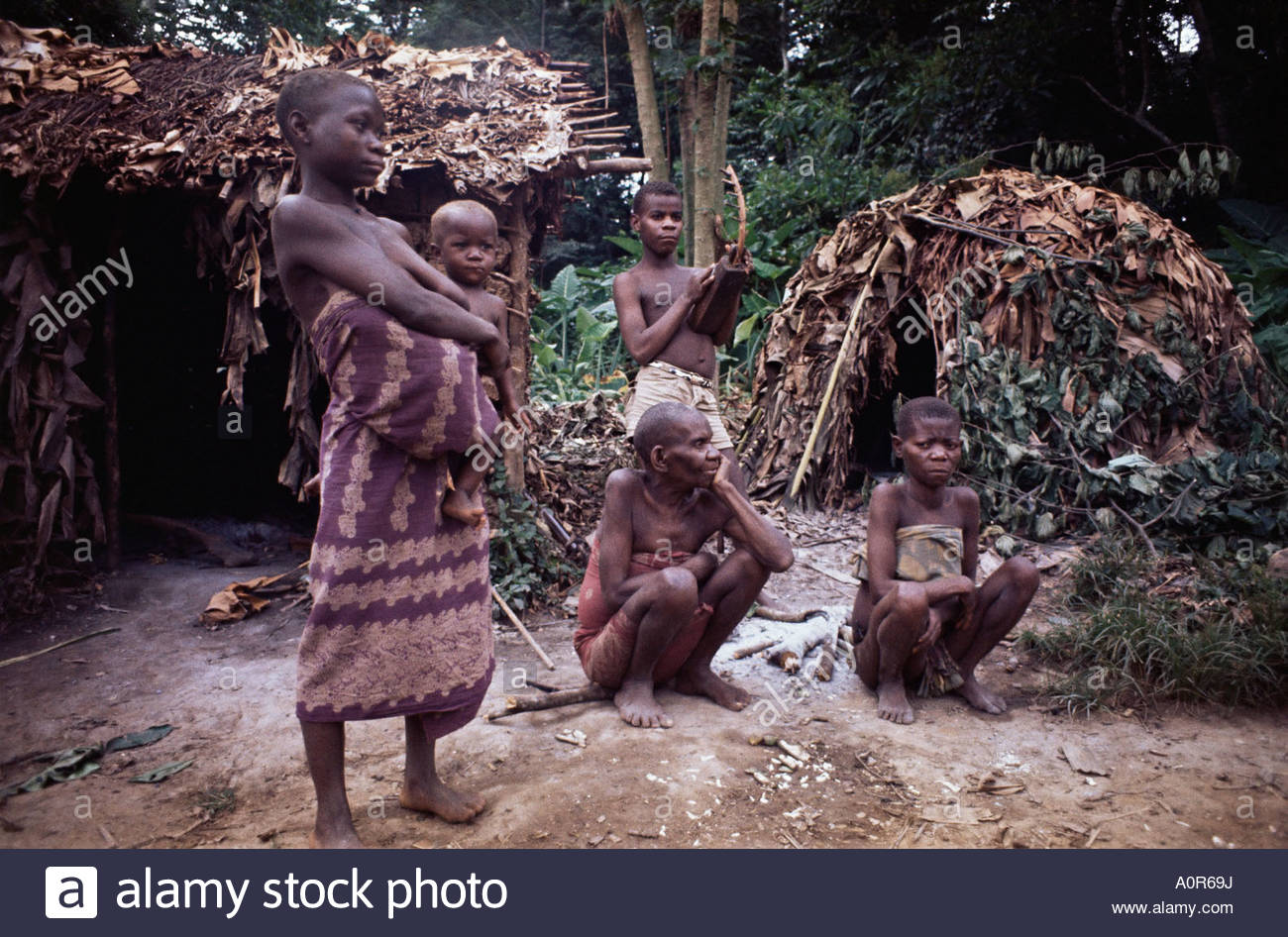 Pygmies Stockfotos Pygmies Bilder Alamy - 