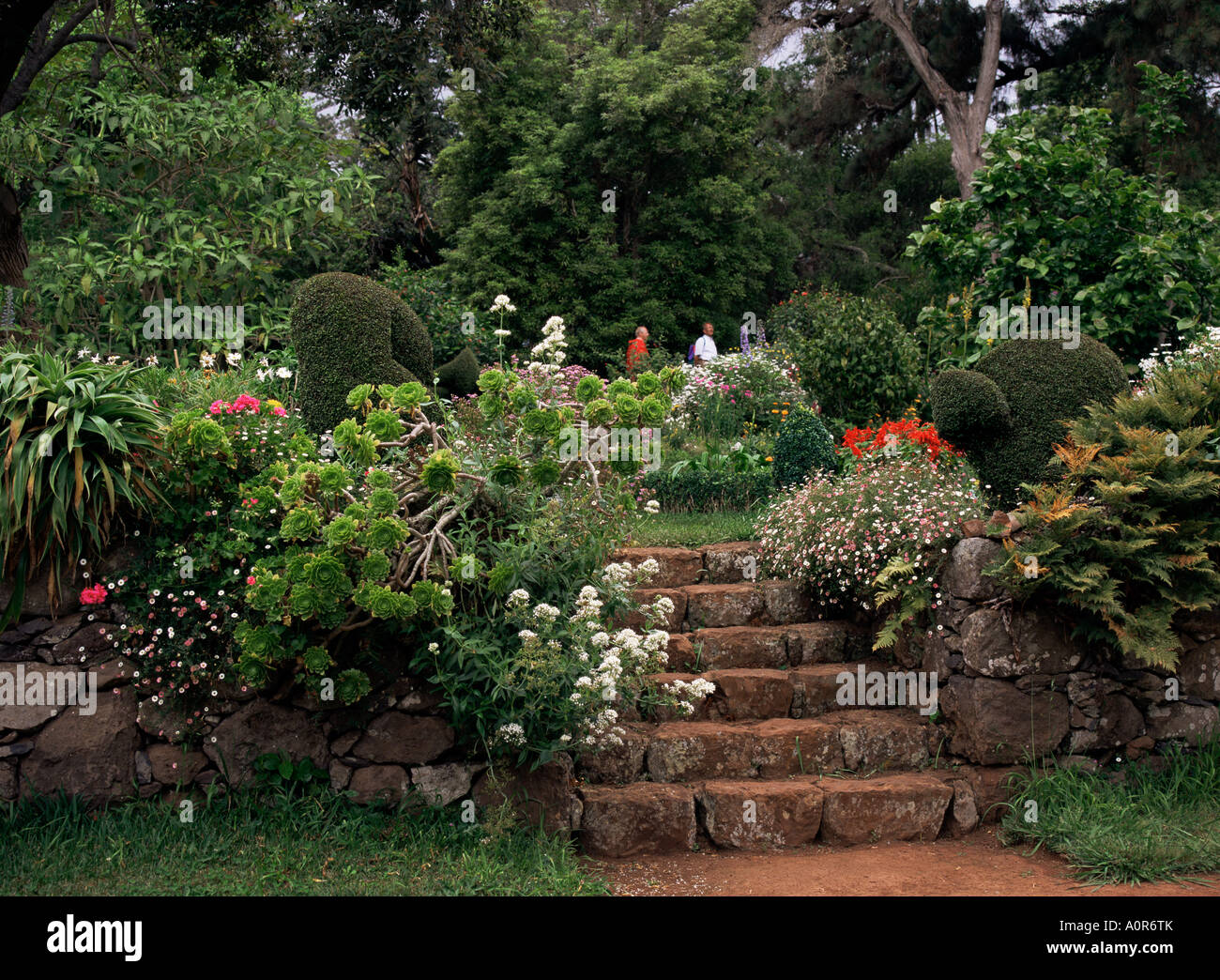 Palheiro gardens madeira portugal europe Fotos und Bildmaterial in