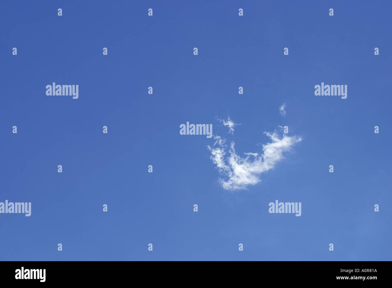 kleine weiße Wolke am blauen Himmel Stockfoto