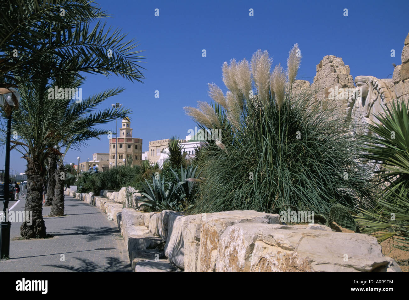 Die Medina Yasmine Hammamet Tunesien Nordafrika Afrika Stockfoto