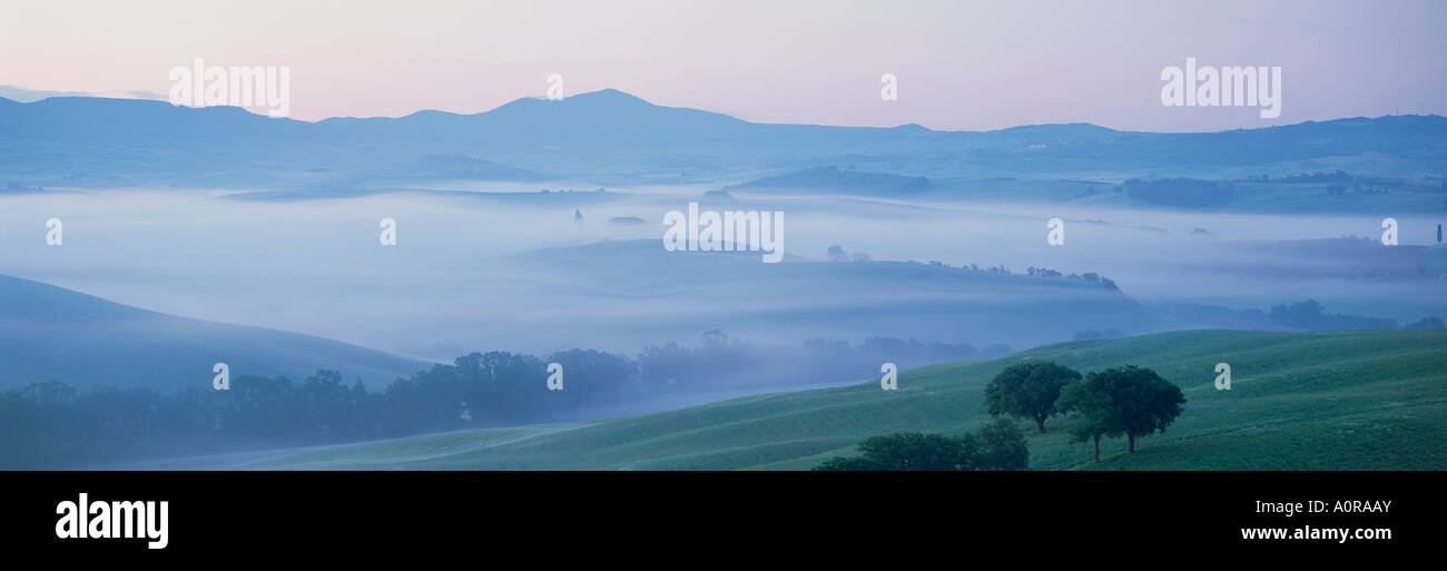 Misty Dawn Blick über Val d Orcia gegenüber dem Belvedere in der Nähe von San Quirico d Orcia Toskana Italien Europa Stockfoto
