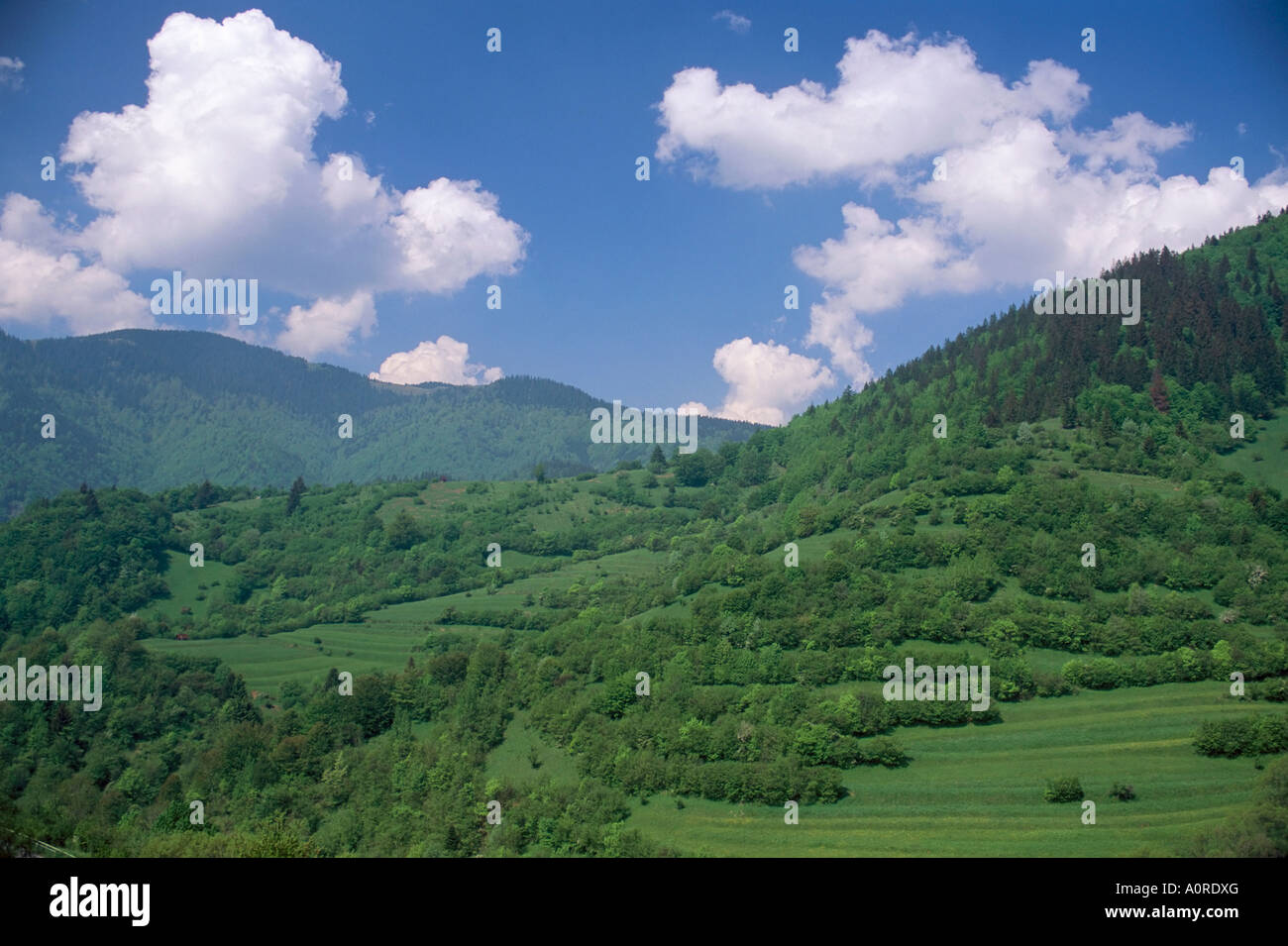 Typische Hügellandschaft Vlkonec Liptov Region Slowakei Europa Stockfoto